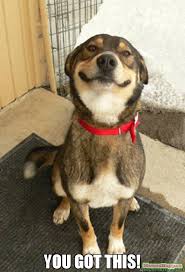 encouraging dog 